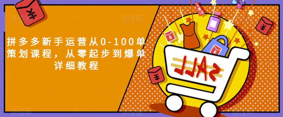 拼多多新手运营从0-100单策划课程，从零起步到爆单详细教程-萝卜兔资源站