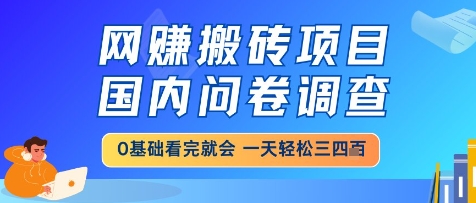 网创搬砖项目，国内问卷调查，小白轻松上手，一天三四张的也不难，干就完了【揭秘】-萝卜兔资源站