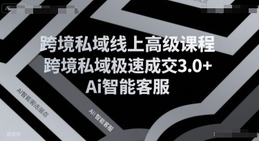 跨境私域线上高级课程，跨境私域极速成交3.0+Ai智能客服-萝卜兔资源站