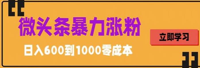 微头条暴力涨粉技巧搬运文案就能涨几万粉丝，简单0成本，日赚600【揭秘】-萝卜兔资源站