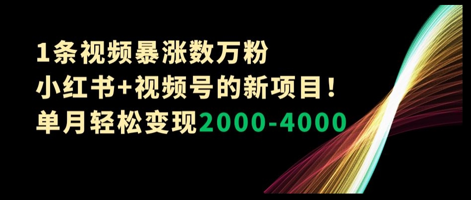 1条视频暴涨数万粉–小红书+视频号的新项目！单月轻松变现2000-4000【揭秘】-萝卜兔资源站
