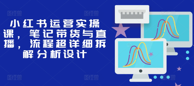 小红书运营实操课，笔记带货与直播，流程超详细拆解分析设计-萝卜兔资源站