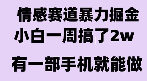 情感暴力掘金项目，新人操作一周挣了2W，长期稳定小白可做【揭秘】-萝卜兔资源站