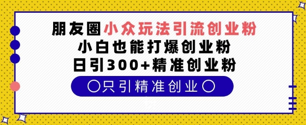 朋友圈小众玩法引流创业粉，小白也能打爆创业粉，日引300+精准创业粉【揭秘】-萝卜兔资源站