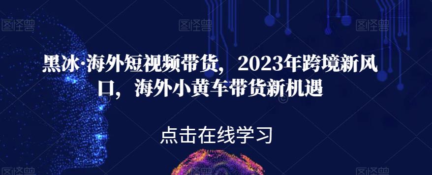 黑冰·海外短视频带货，2023年跨境新风口，海外小黄车带货新机遇-萝卜兔资源站