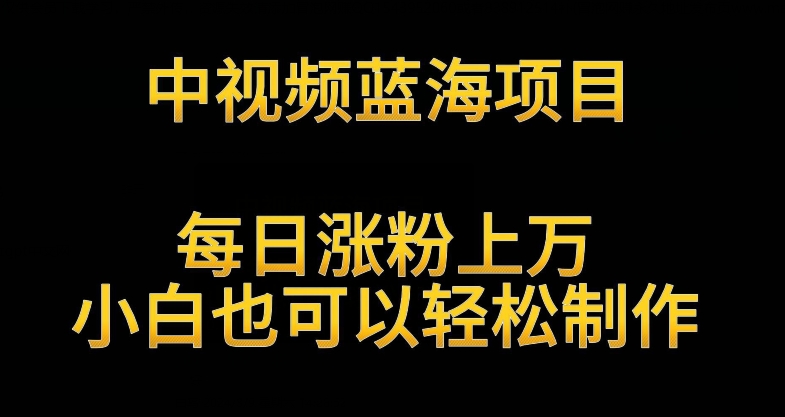 中视频蓝海项目，解读英雄人物生平，每日涨粉上万，小白也可以轻松制作，月入过万不是梦【揭秘】-萝卜兔资源站