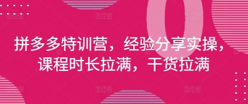拼多多特训营，经验分享实操，课程时长拉满，干货拉满(更新25年4月)-萝卜兔资源站