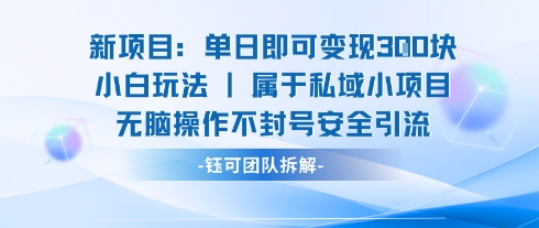新项目单日即可变现3张的小白玩法无脑操作不封号安全引流-萝卜兔资源站