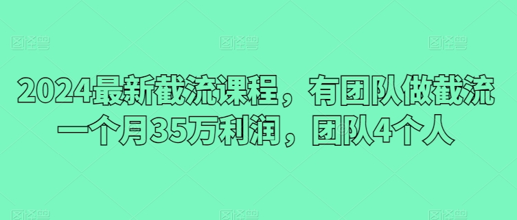 2024最新截流课程，有团队做截流一个月35万利润，团队4个人-萝卜兔资源站