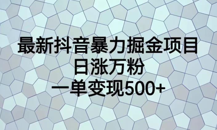 最新抖音暴力掘金项目，日涨万粉，一单变现500+【揭秘】-萝卜兔资源站