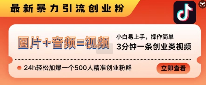 抖音最新暴力引流创业粉，3分钟一条创业类视频，24h轻松加爆一个500人精准创业粉群【揭秘】-萝卜兔资源站