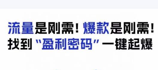 电商盈利精品课：6大盈利密码让产品更好卖，流量是刚需！爆款是刚需！找到”盈利密码”一键起爆-萝卜兔资源站