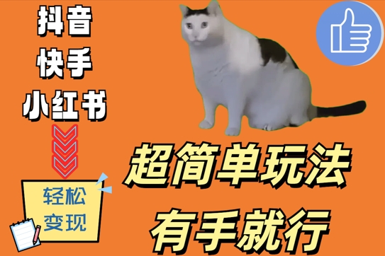 超简单玩法，有手就行，靠猫咪视频日入500+【揭秘】-萝卜兔资源站