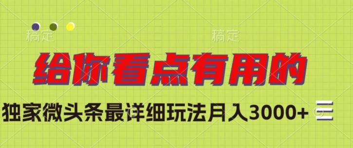 独家微头条最详细玩法，月入3000+【揭秘】-萝卜兔资源站