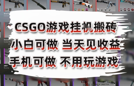 CSGO游戏挂G搬砖，小白纯手机即可操作，不用电脑打游戏，日入3张+，副业网创项目【揭秘】-萝卜兔资源站