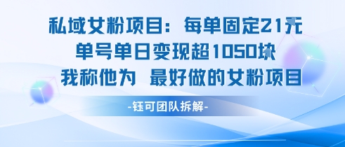 私域女粉项目：每单固定21块，单日变现超1k+，最好做的女粉项目-萝卜兔资源站