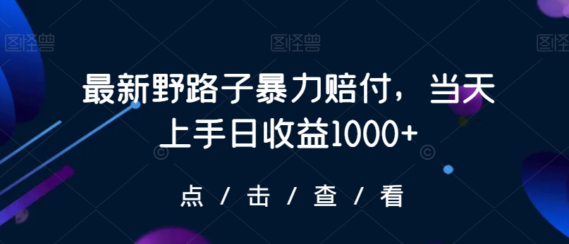最新野路子暴力赔付，当天上手日收益1000+【仅揭秘】-萝卜兔资源站