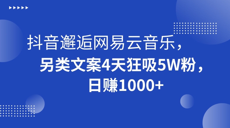 抖音邂逅网易云音乐，另类文案4天狂吸5W粉，日赚1000+【揭秘】-萝卜兔资源站