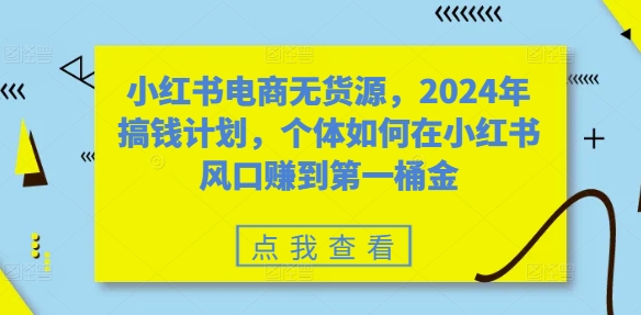 小红书电商无货源，2024年搞钱计划，个体如何在小红书风口赚到第一桶金-萝卜兔资源站