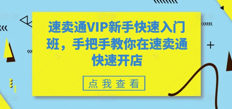 速卖通VIP新手快速入门班，手把手教你在速卖通快速开店-萝卜兔资源站
