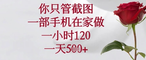 你只管截图，一部手机在家可以做，一小时120.一天5张+【揭秘】-萝卜兔资源站