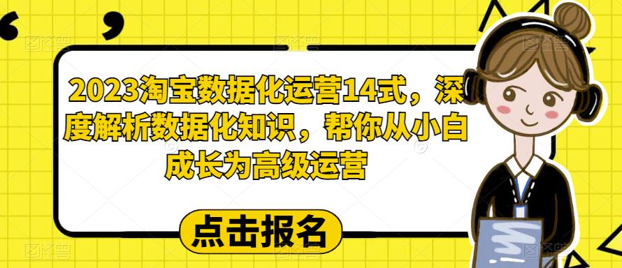 2023淘宝数据化运营14式，深度解析数据化知识，帮你从小白成长为高级运营-萝卜兔资源站