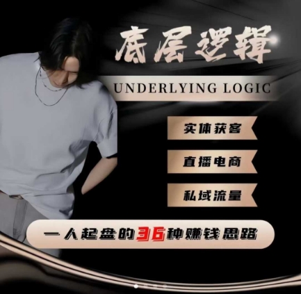 一个人起盘的底层逻辑,私域流量-直播电商-实体获客,一人起盘的36种賺钱思路-萝卜兔资源站