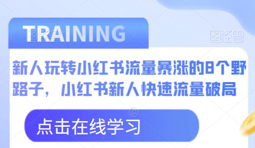 新人玩转小红书流量暴涨的8个野路子，小红书新人快速流量破局-萝卜兔资源站