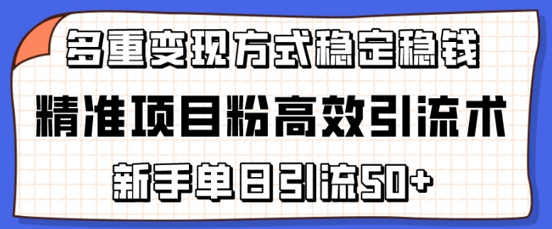 精准项目粉高效引流术，新手单日引流50+，多重变现方式稳定赚钱【揭秘】-萝卜兔资源站