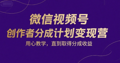 微信视频号创作者分成计划变现营，用心教学，直到取得分成收益-萝卜兔资源站