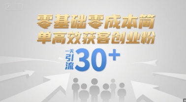零基础零成本简单高效获客创业粉，一天引流30+-萝卜兔资源站