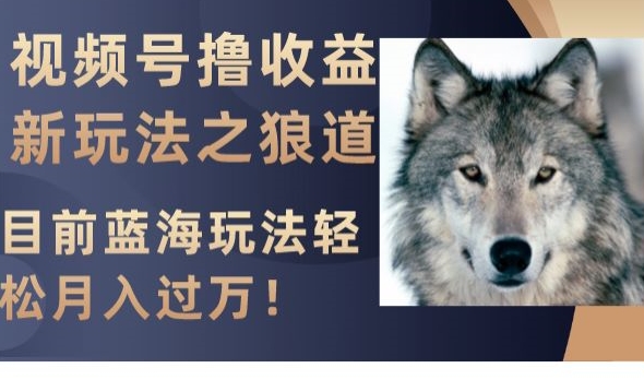视频号撸收益新玩法之狼道，目前蓝海玩法，轻松月入过万【揭秘】-萝卜兔资源站