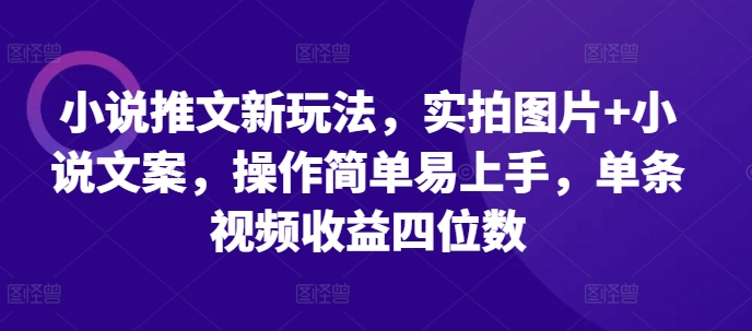 小说推文新玩法，实拍图片+小说文案，操作简单易上手，单条视频收益四位数-萝卜兔资源站