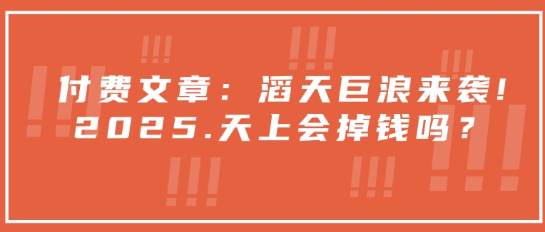 付费文章：滔天巨浪来袭！2025天上会掉钱吗？-萝卜兔资源站