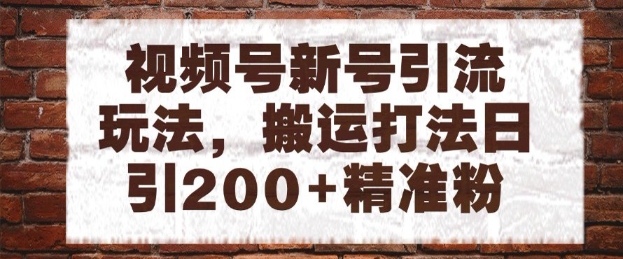 视频号新号引流玩法，搬运打法日引200+精准粉，可矩阵放大【揭秘】-萝卜兔资源站