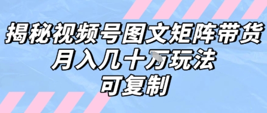 解密视频号图文矩阵带货，月入几个W的打法，可复制-萝卜兔资源站