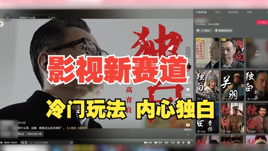 最新影视解说玩法，人物独白，30天涨粉24万+，全流程拆解【揭秘】-萝卜兔资源站