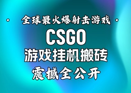 【年底大揭秘】基于全球最火爆的射击CSGO游戏挂G搬砖,日入5张+,震撼公开-萝卜兔资源站