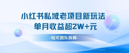 小红书私域项目新玩法，单月变现过W+-萝卜兔资源站