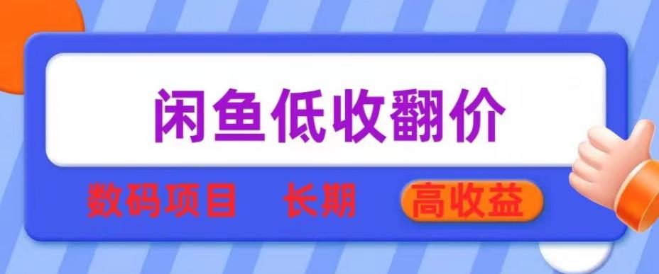 闲鱼低收翻价数码暴利项目，长期高收益【揭秘】-萝卜兔资源站