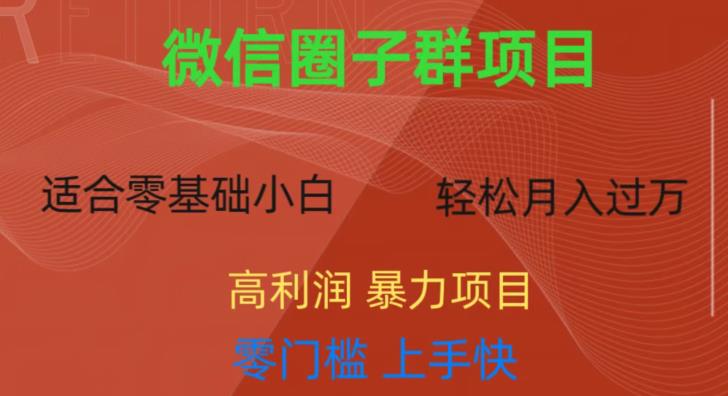 微信资源圈子群项目，零门槛，易上手，一个群1元，一天轻轻松松300+【揭秘】-萝卜兔资源站