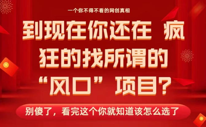 马上26年了,你还在找所谓的风口项目?别傻了,看完这个你全都懂了!【揭秘】-萝卜兔资源站