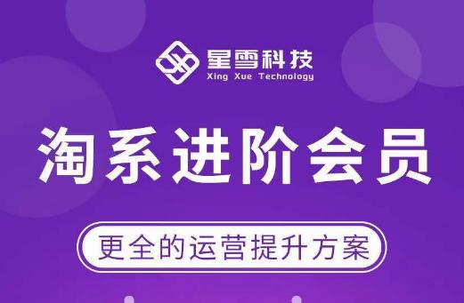 星雪·淘系进阶课程，快速提升突破技能流量瓶颈必备（更新2023年5月）-萝卜兔资源站