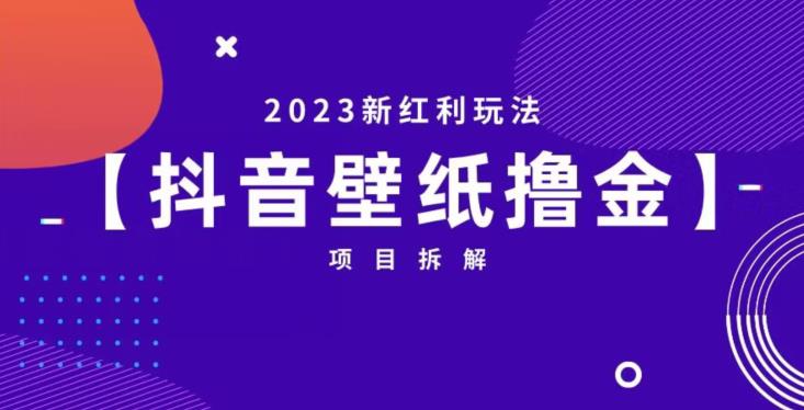 抖音壁纸小程序创作者撸金项目，2023新红利玩法【项目拆解】-萝卜兔资源站