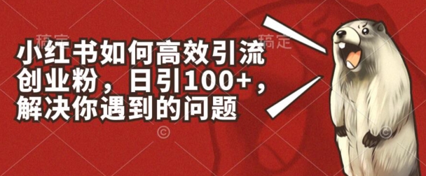 小红书如何高效引流创业粉，日引100+，解决你遇到的问题【揭秘】-萝卜兔资源站