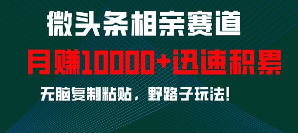 微头条相亲赛道，迅速积累，无脑复制粘贴，野路子玩法，月入1w-萝卜兔资源站