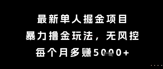 最新单人掘金项目，暴力撸金玩法，无风控，每个月多挣5k+【揭秘】-萝卜兔资源站