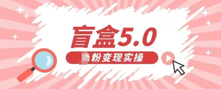 盲盒交友5.0，男粉变现实操项目，亲测变现效果极好【揭秘】-萝卜兔资源站