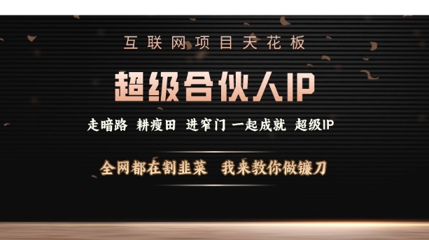 互联网项目天花板，超级合伙人IP，全网都在割韭菜，我来教你做镰刀【仅揭秘】-萝卜兔资源站