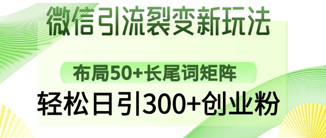 微信引流裂变新玩法：布局50+长尾词矩阵，轻松日引300+创业粉-萝卜兔资源站